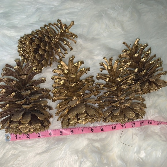 Extra large painted pine cones - Picture 3 of 3